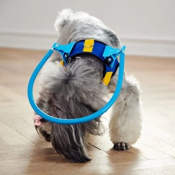 Blind Pet Anti-collision Collar - Image 5