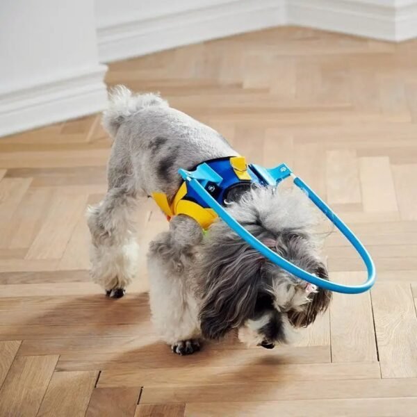 Blind Pet Anti-collision Collar - Image 3