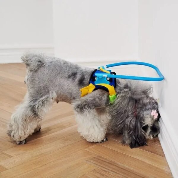 Blind Pet Anti-collision Collar - Image 4