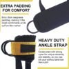 Padded Ankle Strap with D-Ring for Leg and Butt Exercises - Image 4